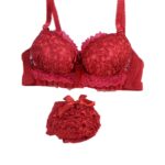 Bahucharaji Creation Women’s Lace Push Up Non-Wired Solid Lingerie Set Bahucharaji Creation Women’s Lace Push Up Non-Wired Solid Lingerie Set