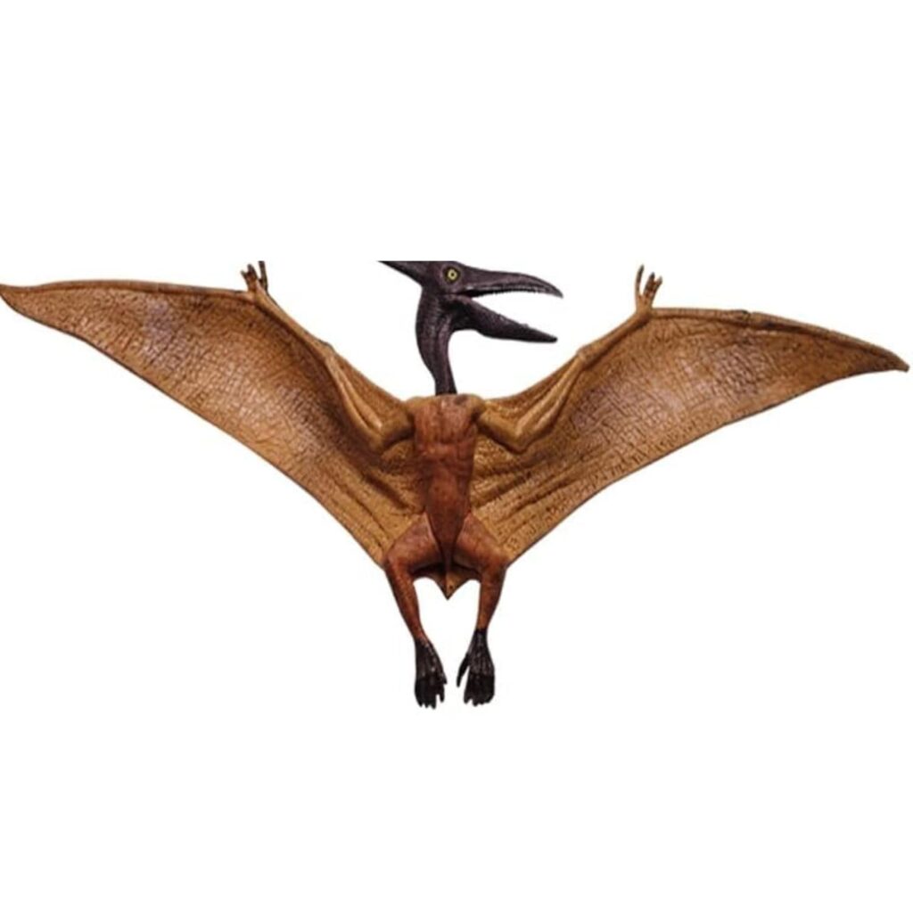Mallexo Realistic Flying Dinosaur Action Figure for Kids Petrosaurus Dinosaurs Model Fidge Jurassic World Playset Toys Learning | Educational Prehistoric Dragon item for Girls & Boys Birthday Gift 1Pc